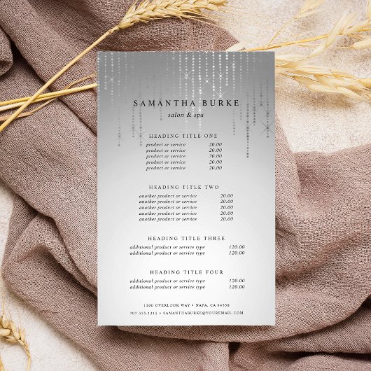 Silver Rain Pricing & Services Flyer