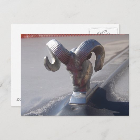 Silver Ram Briefkaart (Voorkant / Achterkant)