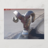 Silver Ram Briefkaart (Voorkant)