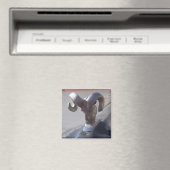 Silver Ram Magneet (Insitu (Vaatwasser))