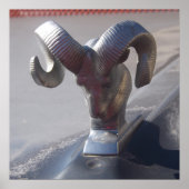 Silver Ram Poster (Voorkant)