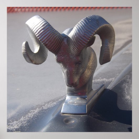 Silver Ram Poster (Voorkant)