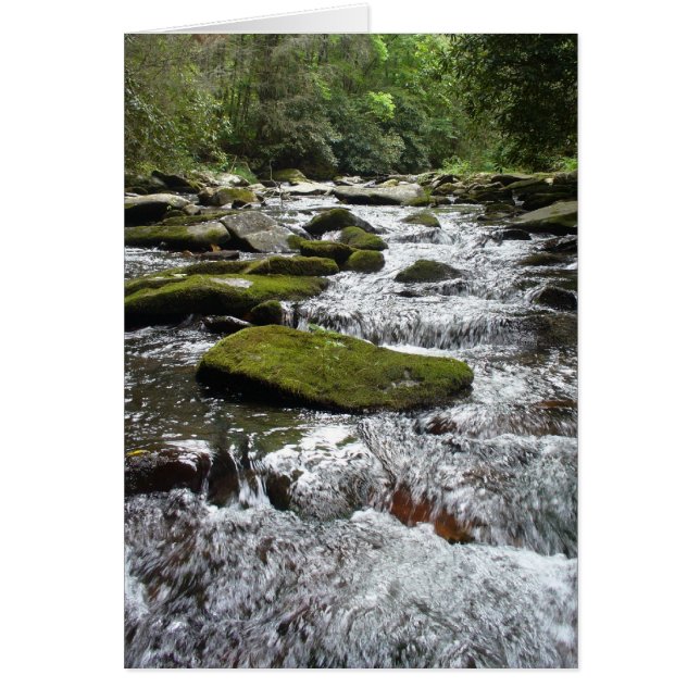 Silver Rapids (Voorkant)