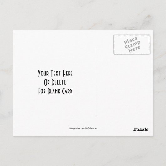 Silver Roos Floral  Briefkaart (Achterkant)