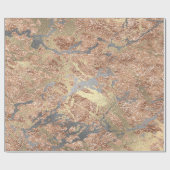 Silver Roos Gold Abstract Molten Champaign Gold Cadeaupapier (Vlak)