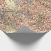 Silver Roos Gold Abstract Molten Champaign Gold Cadeaupapier (Hoek)