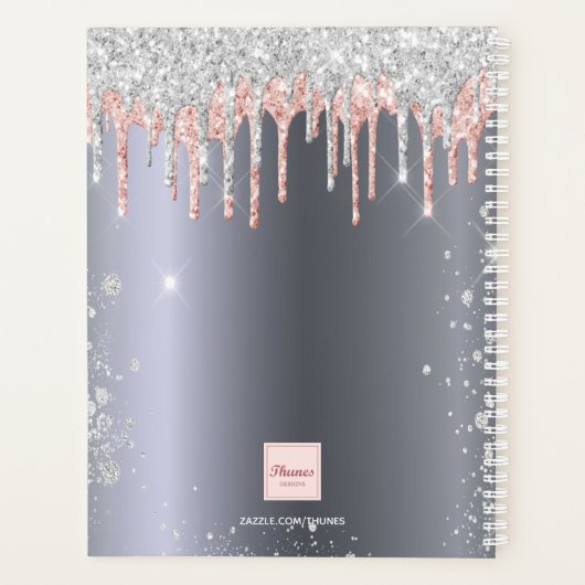 Silver roos Gold glitter druppelt monogram 2023 op Planner (Achterkant)