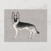 Silver Sable Duitse Herder Cartoon GSD Dog Grey Briefkaart (Voorkant)