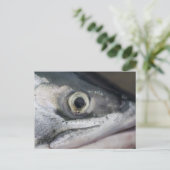 Silver Salmon Face Briefkaart (Staand voorkant)