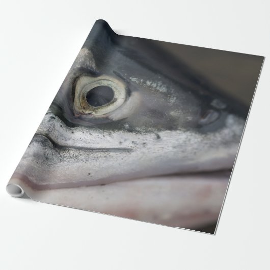 Silver Salmon Face Cadeaupapier (Uitgerold)
