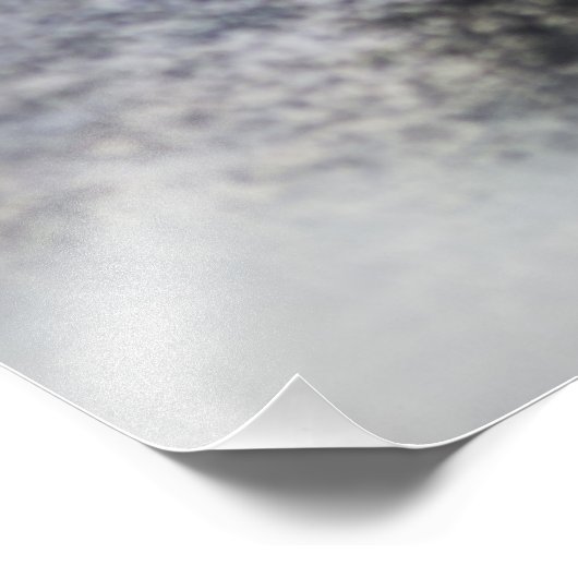 Silver Salmon Face Foto Afdruk (Hoek)