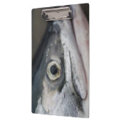 Silver Salmon Face Klembord (Links)