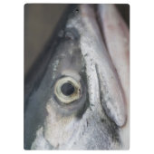 Silver Salmon Face Klembord (Achterkant)