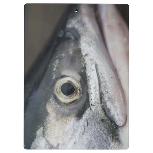 Silver Salmon Face Klembord (Achterkant)