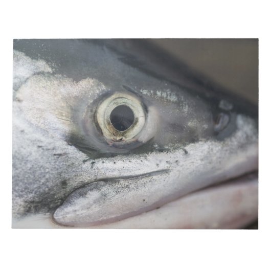 Silver Salmon Face Notitieblok (Voorkant)