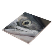 Silver Salmon Face Tegeltje (Zijkant)