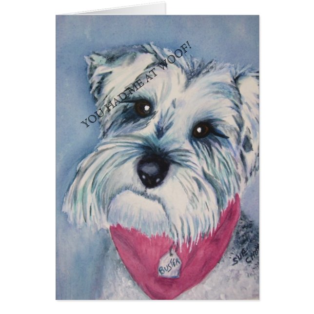 SILVER SCHNAUZER (Voorkant)