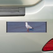 Silver Seagull Bumpersticker (Op auto)