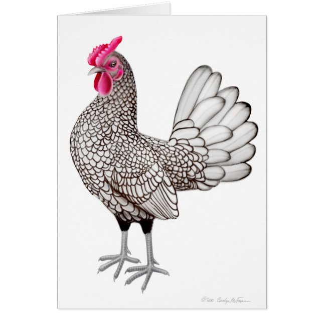 Silver Sebright Bantam Rooster Card (Voorkant)