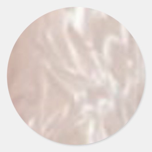 Silver Shine Lables Rond Ronde Sticker (Voorkant)