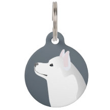 Silver Siberian Husky Basic Breed 