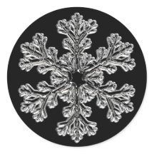 Silver Snowflake Holiday Greeting