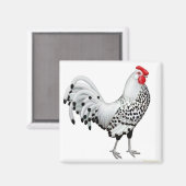 Silver Spangled Hamburg Rooster Magnet (Voorkant / Achterkant)