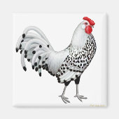 Silver Spangled Hamburg Rooster Magnet (Voorkant)
