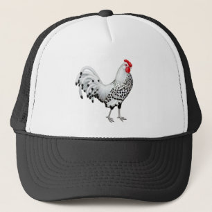 Silver Spangled Hamburg Rooster Pet