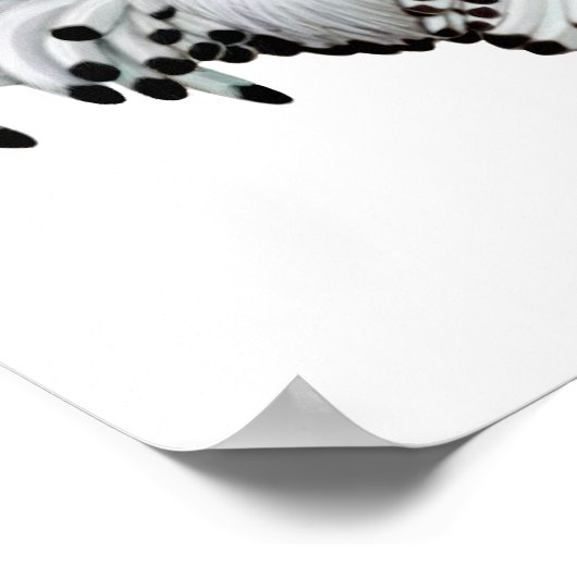 Silver Spangled Hamburg Rooster Print (Hoek)