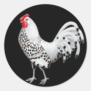 Silver Spangled Hamburg Rooster Sticker