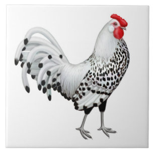 Silver Spangled Hamburg Rooster Tile Tegeltje