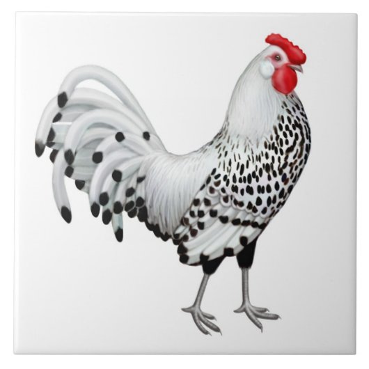 Silver Spangled Hamburg Rooster Tile Tegeltje (Voorkant)