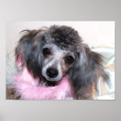 Silver Speelgoed poolzijde Poster (Voorkant)