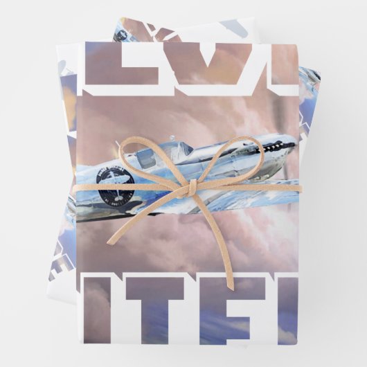 Silver Spitfire Inpakpapier Vel (In situ)