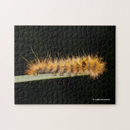 Silver Spotted Tiger Moth/Woollybeer Caterstyle Legpuzzel