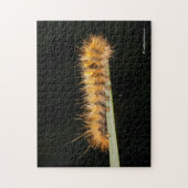 Silver Spotted Tiger Moth/Woollybeer Caterstyle Legpuzzel (Verticaal)