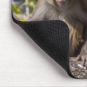 Silver Springs-apen Muismat (Hoek)