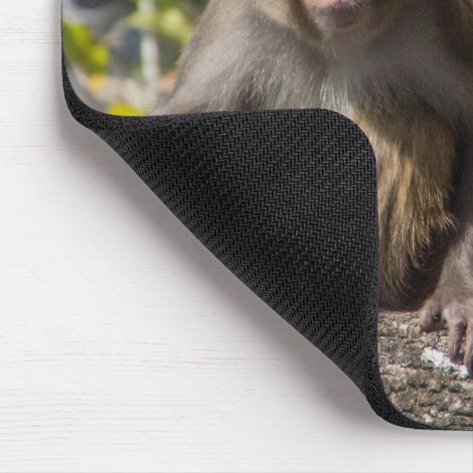 Silver Springs-apen Muismat (Hoek)