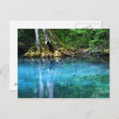 Silver Springs Briefkaart (Voorkant / Achterkant)