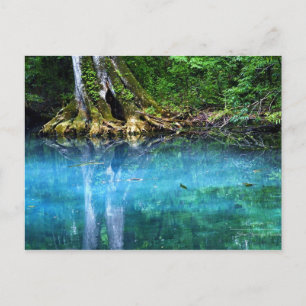 Silver Springs Briefkaart