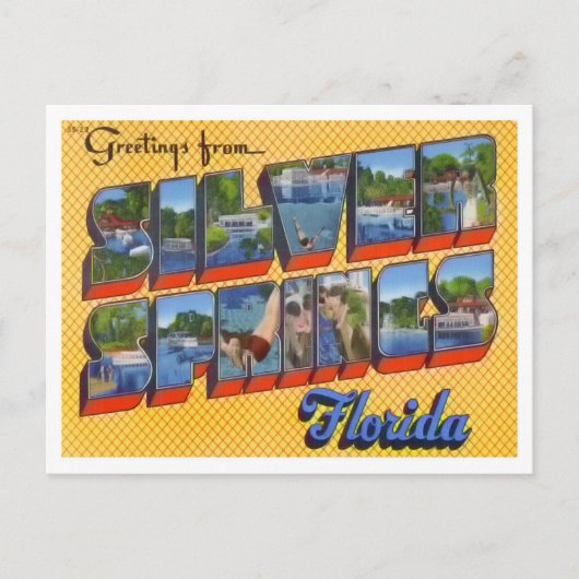 Silver Springs, Florida  Big Letters Briefkaart (Voorkant)