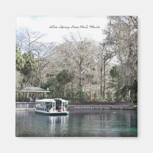 Silver Springs, Florida, Glazen Bottom Boat Magneet