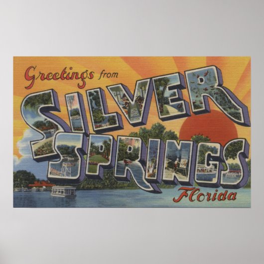 Silver Springs, Florida - Grote Letter-scènes 2 Poster (Voorkant)