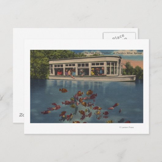 Silver Springs, Florida - Uitzicht van Riverboat & Briefkaart (Voorkant / Achterkant)