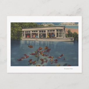 Silver Springs, Florida - Uitzicht van Riverboat & Briefkaart