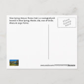 Silver Springs Natuur Theme Park, Florida, VS Briefkaart (Achterkant)