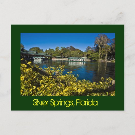 Silver Springs Natuur Theme Park, Florida, VS Briefkaart (Voorkant)