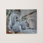 Silver Squirrel Legpuzzel (Horizontaal)