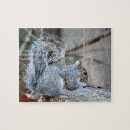 Silver Squirrel Legpuzzel